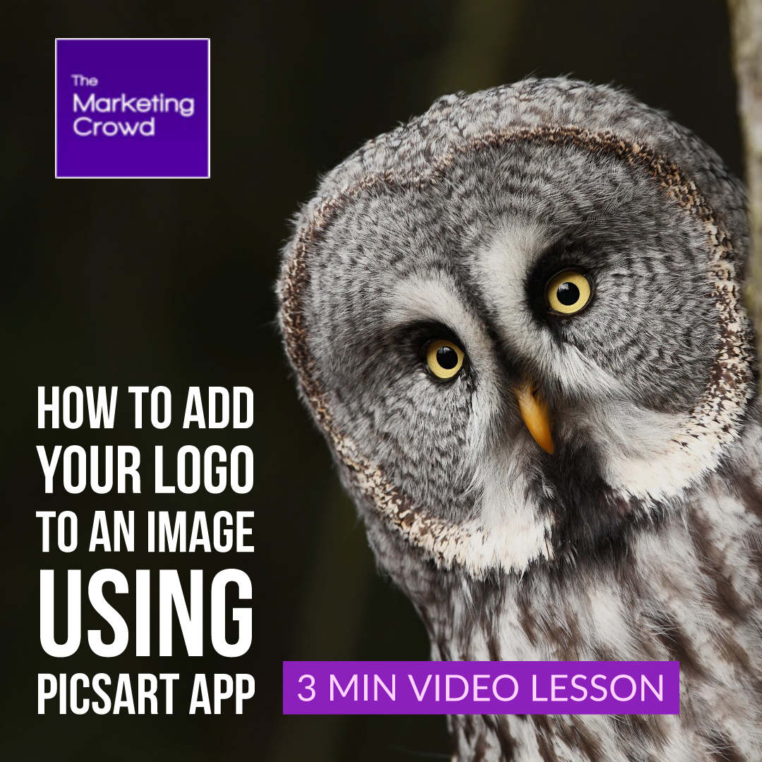 How to add a logo to an image using Picsart app