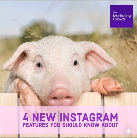 Instagram updates for marketers