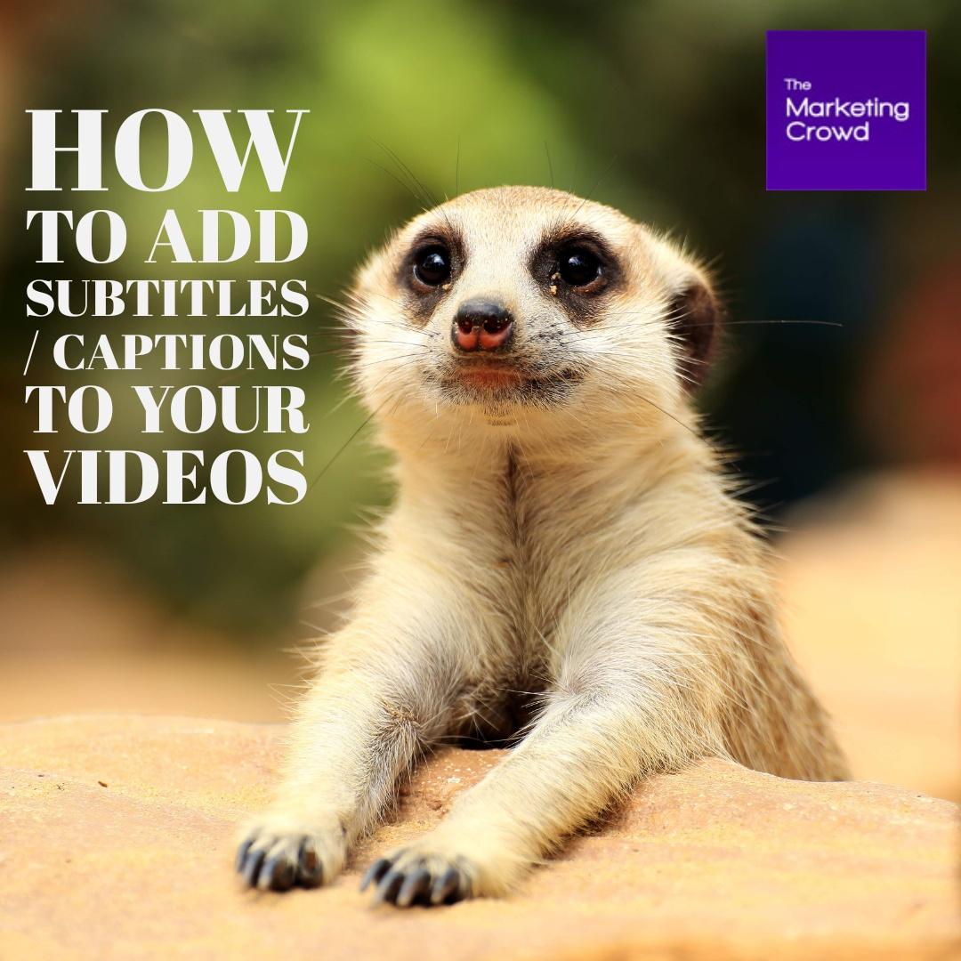 How to add captions or subtitles to your video